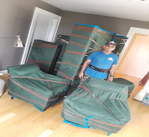 Professional Mover2
